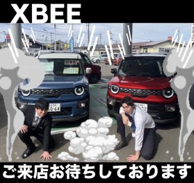 入社2年目の荒川による車紹介【XBEE編】